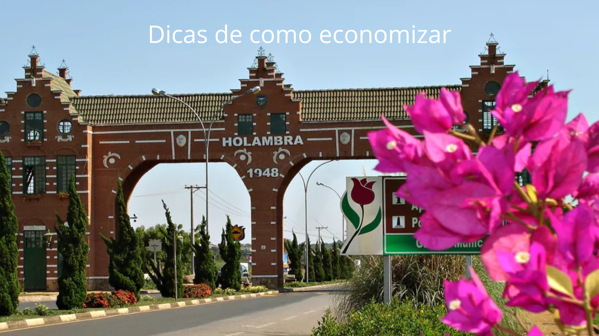 Holambra é uma experiência encantadora para quem deseja conhecer a capital nacional das flores e aproveitar ao máximo a cultura holandesa.