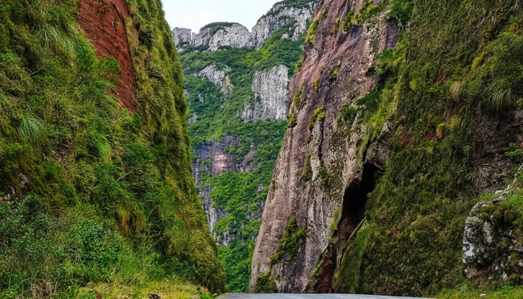 O que fazer na Serra do Rio do Rastro: dicas para curtir a serra SC